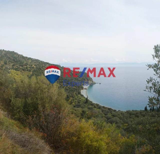 (For Sale) Land Agricultural Land  || Arkadia/Apollonas - 10.245 Sq.m, 140.000€ 