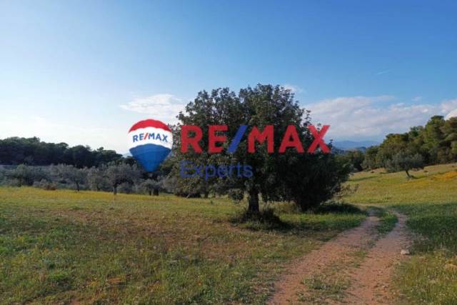 (For Sale) Land Large Land  || Argolida/Ermioni - 607.000 Sq.m, 6.000.000€ 