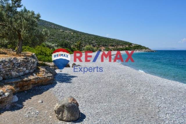 (For Sale) Land Agricultural Land  || Arkadia/Apollonas - 4.229 Sq.m, 80.000€ 