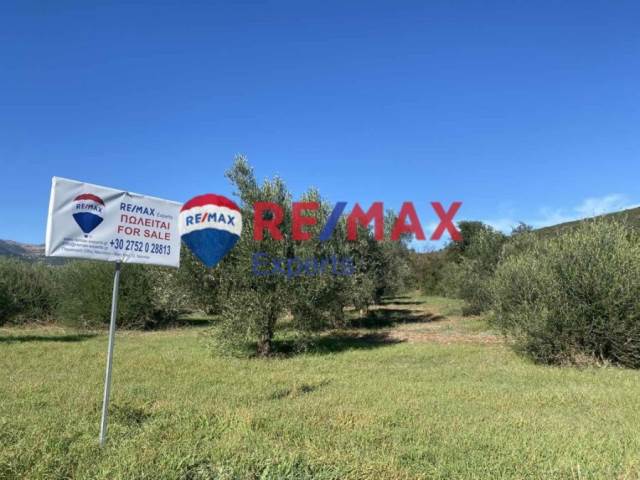 (For Sale) Land Agricultural Land  || Argolida/Lyrkeia - 13.500 Sq.m, 36.000€ 