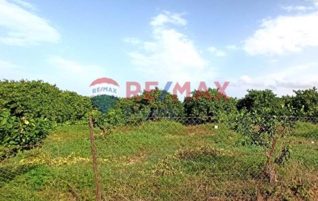 (For Sale) Land Plot || Argolida/Nea Tiryntha - 710 Sq.m, 70.000€ 