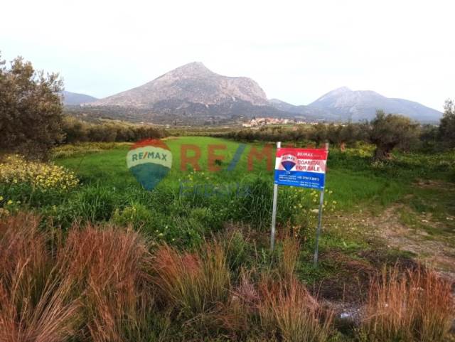 (For Sale) Land Agricultural Land  || Argolida/Mykines - 12.000 Sq.m, 35.000€ 