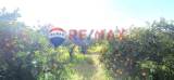 slide thumbnail