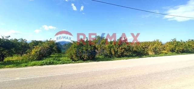 (For Sale) Land Plot || Argolida/Midea - 732 Sq.m, 45.000€ 