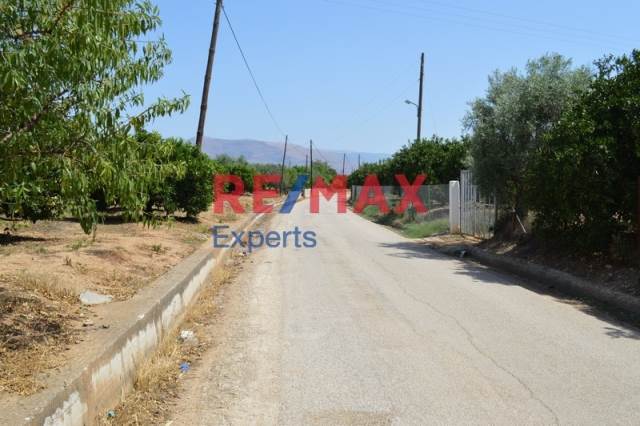 (For Sale) Land Plot || Argolida/Argos - 1.300 Sq.m, 58.000€ 