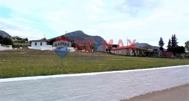 (Προς Πώληση) Αξιοποιήσιμη Γη Οικόπεδο || Ν. Αργολίδας/Μυκήνες - 3.830 τ.μ, 90.000€ 