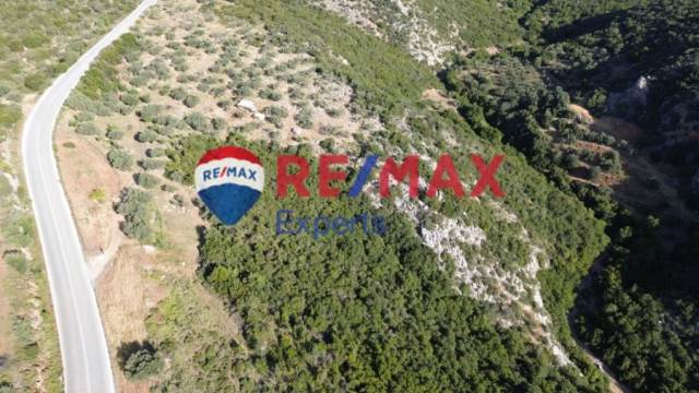(For Sale) Land Agricultural Land  || Argolida/Epidavros - 63.340 Sq.m, 58.000€ 