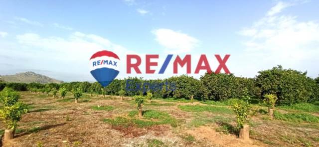 (For Sale) Land Plot || Argolida/Nea Tiryntha - 5.926 Sq.m, 98.000€ 