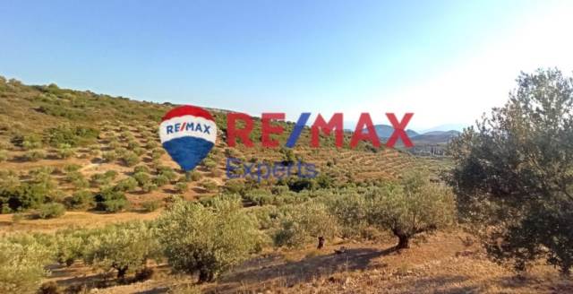 (Προς Πώληση) Αξιοποιήσιμη Γη Αγροτεμάχιο || Ν. Αργολίδας/Ναύπλιο - 10.075 τ.μ, 120.000€ 