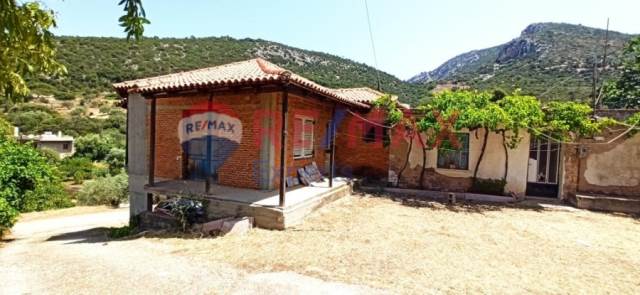 (Προς Πώληση) Κατοικία Μονοκατοικία || Ν. Αργολίδας/Επίδαυρος - 240 τ.μ, 3 Υ/Δ, 49.000€ 