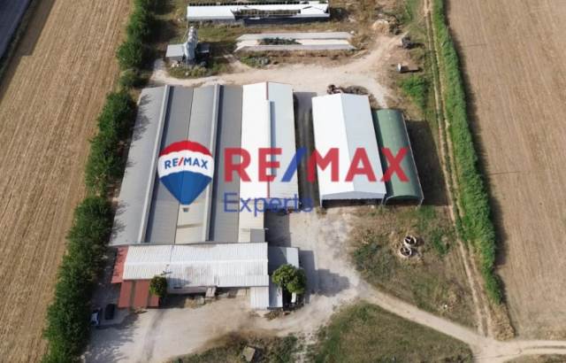 (For Sale) Commercial Commercial Property || Argolida/Argos - 3.850 Sq.m, 630.000€ 