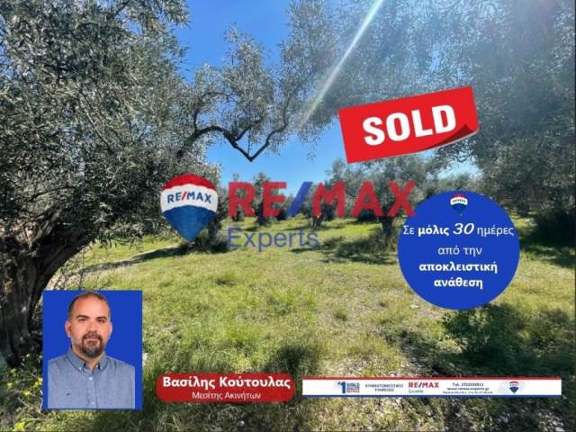 (For Sale) Land Plot || Arkadia/North Kynouria - 3.366 Sq.m, 120.000€ 