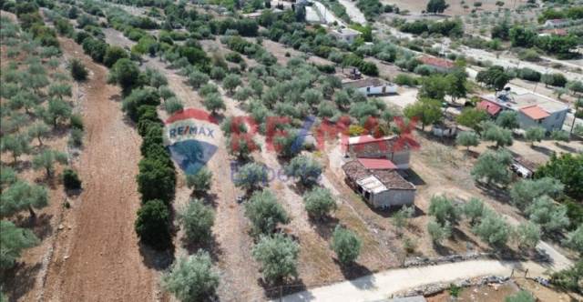 (For Sale) Land Plot || Argolida/Lyrkeia - 2.545 Sq.m, 20.000€ 