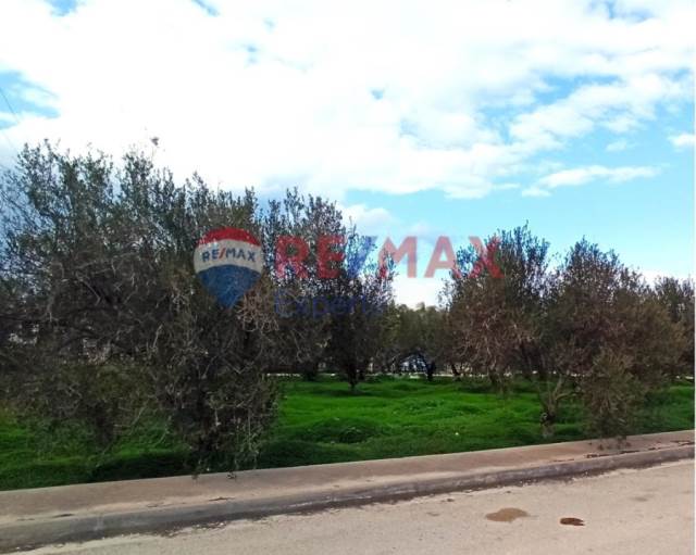 (For Sale) Land Plot || Korinthia/Sikyona - 419 Sq.m, 45.000€ 