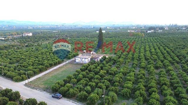 (For Sale) Land Agricultural Land  || Argolida/Argos - 35.248 Sq.m, 250.000€ 