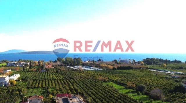(For Sale) Land Plot || Argolida/Asini - 4.842 Sq.m, 220.000€ 