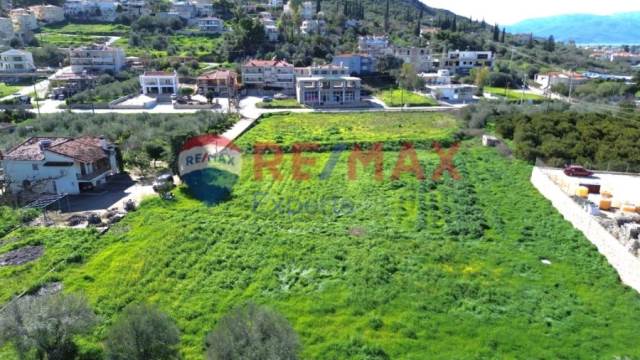 (For Sale) Land Agricultural Land  || Argolida/Nafplio - 6.630 Sq.m, 190.000€ 