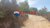 slide thumbnail