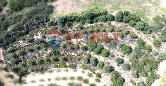 (For Sale) Land Agricultural Land  || Argolida/Nafplio - 3.504 Sq.m, 19.000€ 