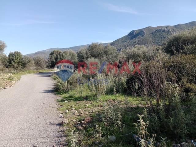 (For Sale) Land Agricultural Land  || Piraias/Troizinia - 23.989 Sq.m, 27.000€ 