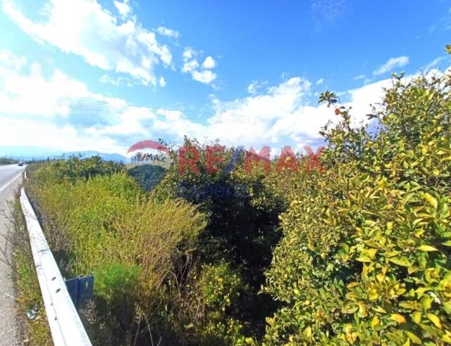 (For Sale) Land Agricultural Land  || Argolida/Midea - 1.117 Sq.m, 11.000€ 