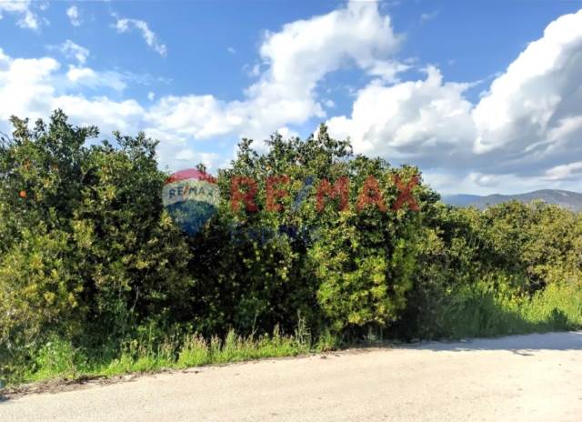 (For Sale) Land Agricultural Land  || Argolida/Midea - 624 Sq.m, 17.000€ 