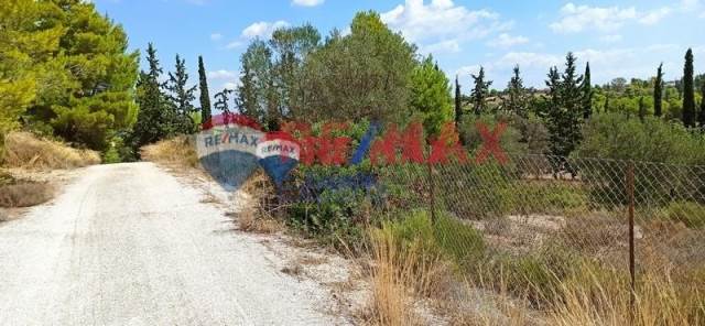 (For Sale) Land Plot || Argolida/Kranidi - 4.016 Sq.m, 70.000€ 