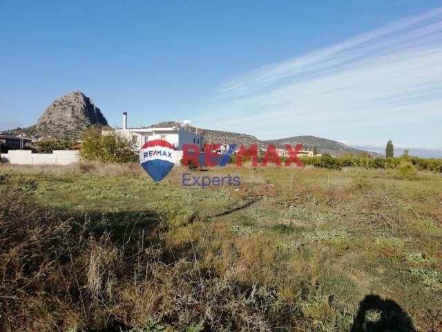 (For Sale) Land Plot || Argolida/Asini - 1.330 Sq.m, 130.000€ 