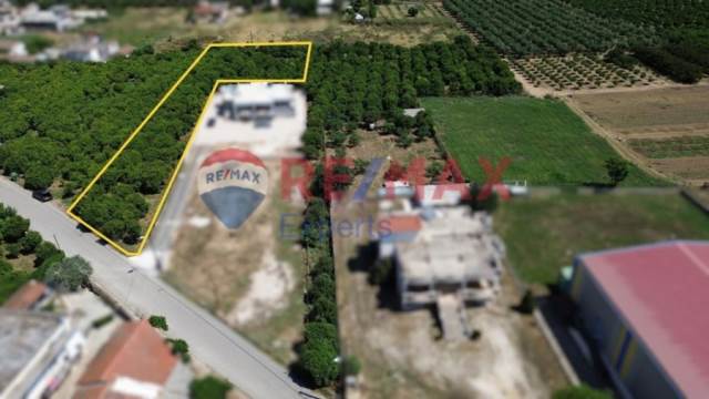 (Προς Πώληση) Αξιοποιήσιμη Γη Οικόπεδο || Ν. Αργολίδας/Άργος - 2.560 τ.μ, 70.000€ 