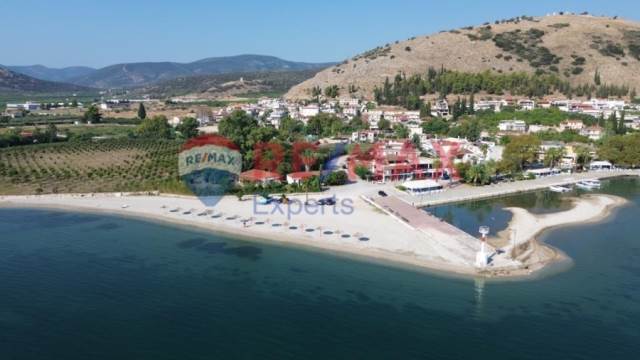 (Προς Πώληση) Αξιοποιήσιμη Γη Οικόπεδο || Ν. Αργολίδας/Λέρνα - 1.235 τ.μ, 160.000€ 