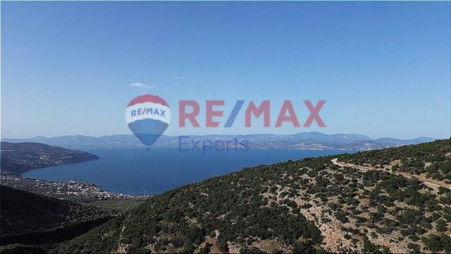 (Προς Πώληση) Αξιοποιήσιμη Γη Αγροτεμάχιο || Ν. Αρκαδίας/Βόρεια Κυνουρία - 4.526 τ.μ, 65.000€ 