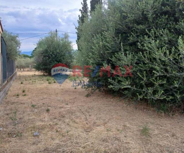 (Προς Πώληση) Αξιοποιήσιμη Γη Οικόπεδο || Ν. Εύβοιας/Μεσσαπία - 303 τ.μ, 27.000€ 