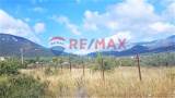 slide thumbnail