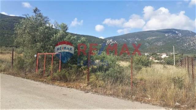 (Προς Πώληση) Αξιοποιήσιμη Γη Οικόπεδο || Ν. Αργολίδας/Επίδαυρος - 420 τ.μ, 32.000€ 