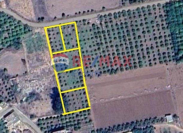 (For Sale) Land Plot || Argolida/Argos - 534 Sq.m, 25.000€ 