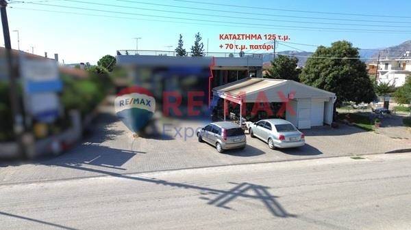 (Προς Πώληση) Επαγγελματικός Χώρος Επαγγελματικός Χώρος || Ν. Αργολίδας/Κουτσοπόδι - 195 τ.μ, 200.000€ 