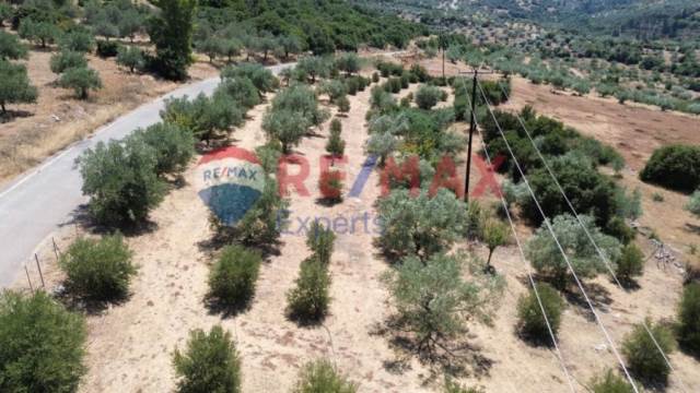 (Προς Πώληση) Αξιοποιήσιμη Γη Αγροτεμάχιο || Ν. Αργολίδας/Λύρκεια - 4.108 τ.μ, 40.000€ 
