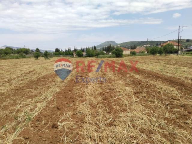 (For Sale) Land Plot || Korinthia/Nemea - 5.965 Sq.m, 58.000€ 