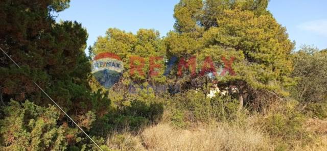 (For Sale) Land Plot || Argolida/Kranidi - 1.002 Sq.m, 170.000€ 