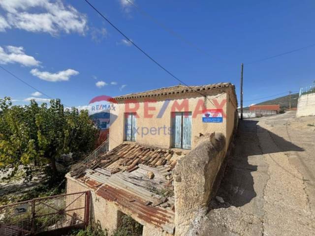 (Προς Πώληση) Κατοικία Μονοκατοικία || Ν. Αργολίδας/Μυκήνες - 100 τ.μ, 26.000€ 