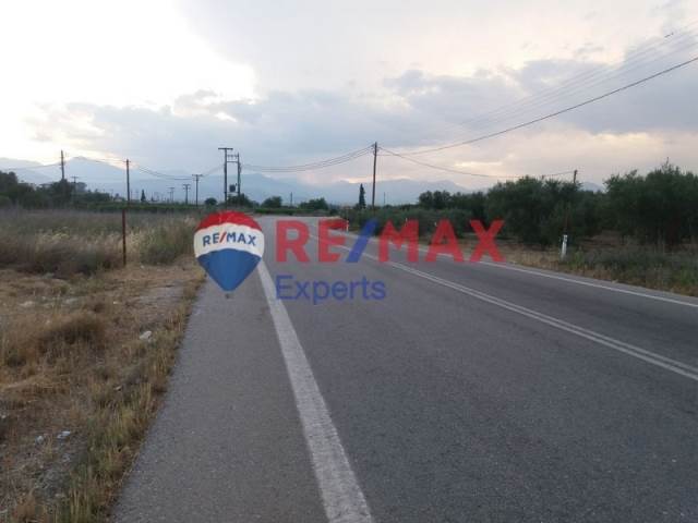 (For Sale) Land Plot || Argolida/Nea Tiryntha - 3.624 Sq.m, 44.000€ 