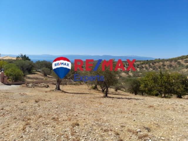 (For Sale) Land Agricultural Land  || Argolida/Kranidi - 9.558 Sq.m, 450.000€ 