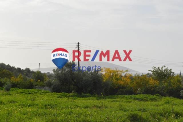 (For Sale) Land Agricultural Land  || Argolida/Asini - 5.000 Sq.m, 75.000€ 