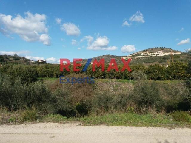 (For Sale) Land Plot || Argolida/Nea Tiryntha - 3.516 Sq.m, 90.000€ 