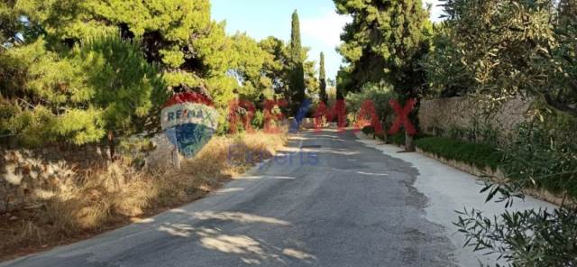 (For Sale) Land Plot || Argolida/Kranidi - 1.000 Sq.m, 280.000€ 