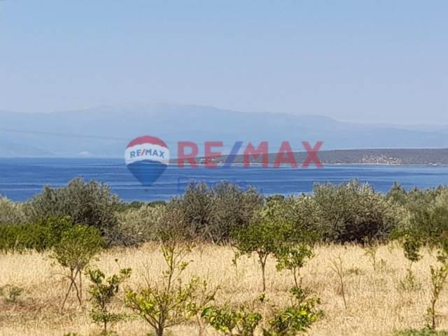 (For Sale) Land Agricultural Land  || Argolida/Asini - 5.557 Sq.m, 92.000€ 