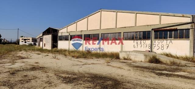 (For Sale) Commercial Industrial Area || Argolida/Argos - 10.675 Sq.m, 1.250.000€ 