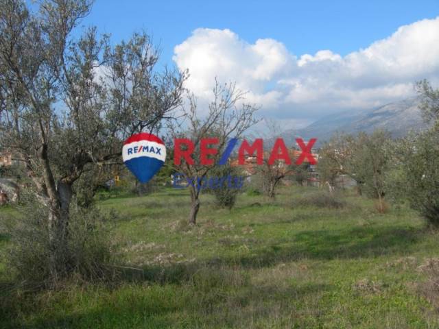 (For Sale) Land Plot || Argolida/Asklipieio - 1.451 Sq.m, 55.000€ 